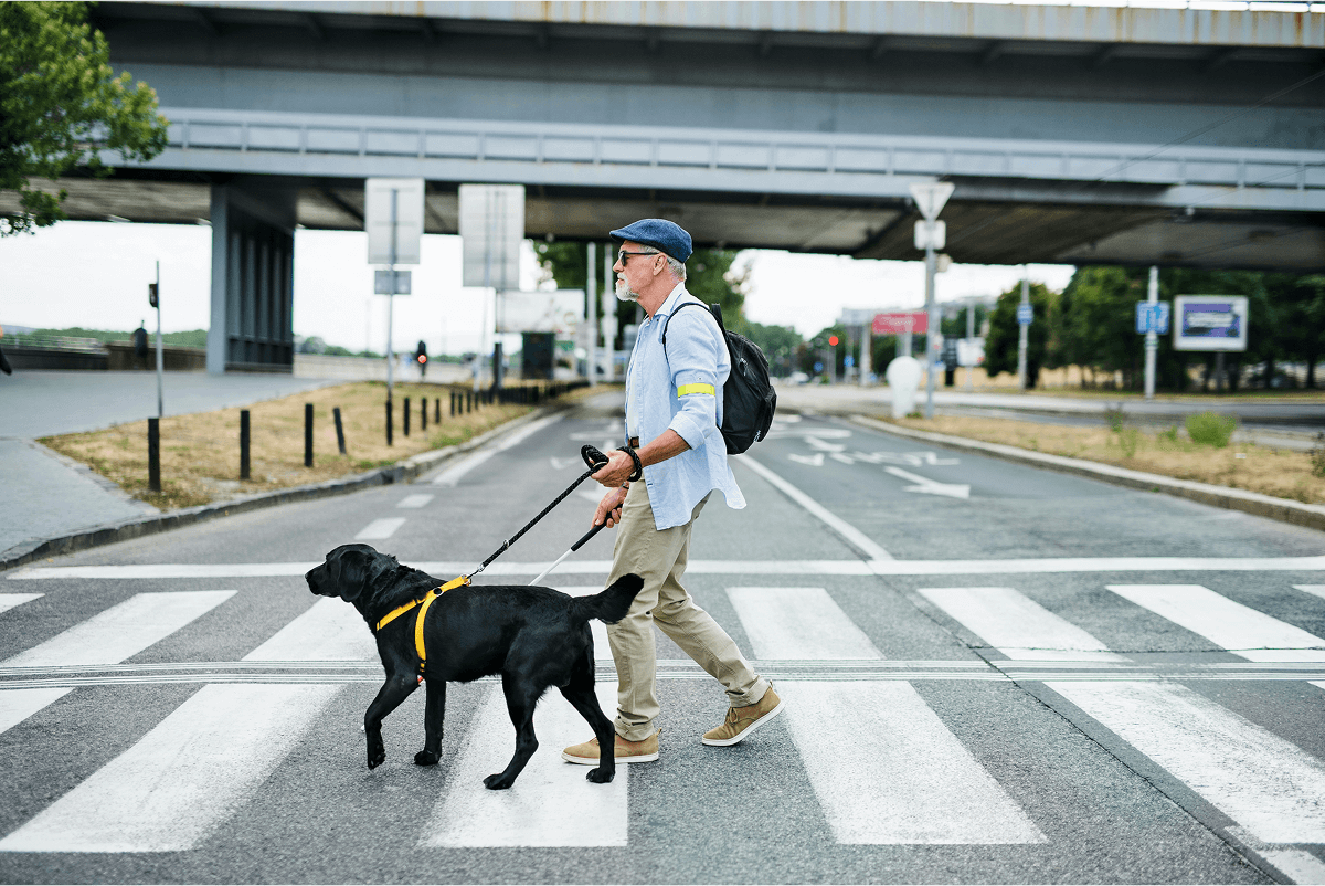 pedestrian.2 (1) pedestrian.2 (1)
